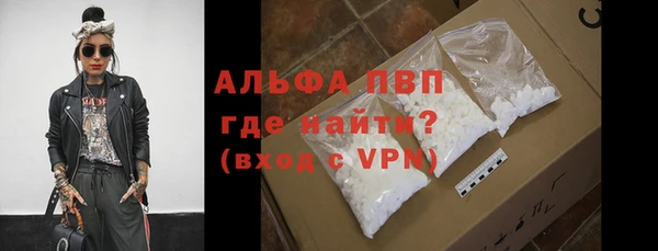 PSILOCYBIN Аркадак