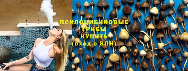 PSILOCYBIN Аркадак