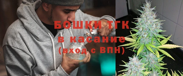 PSILOCYBIN Аркадак