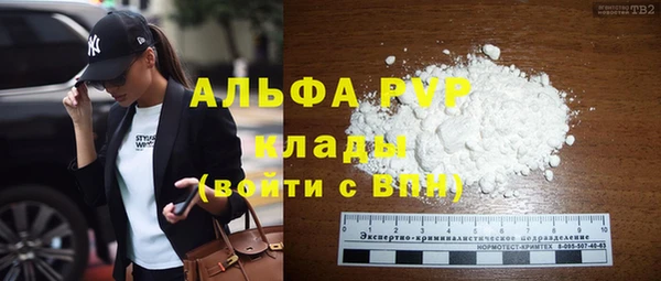 PSILOCYBIN Аркадак