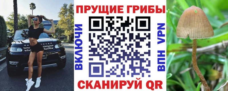 Галлюциногенные грибы мицелий  Горно-Алтайск 