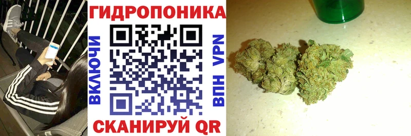 shop формула  KRAKEN как войти  МАРИХУАНА марихуана  Горно-Алтайск  продажа наркотиков 